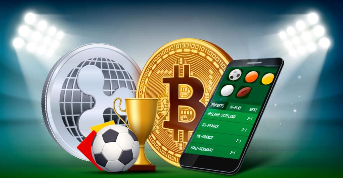 Tout Ce Que Vous Devez Savoir Sur Betwinner 3