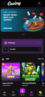 Explore the Thrills of Gaming at Casiny Casino