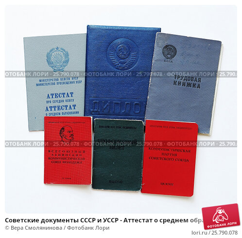 Купить диплом 256