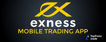 Exploring the Exness Trading Platform Your Gateway to Successful Trading
