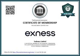 Exploring the Exness Trading Platform Your Gateway to Successful Trading