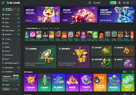 Unlock the Excitement Bonus BC Game MG